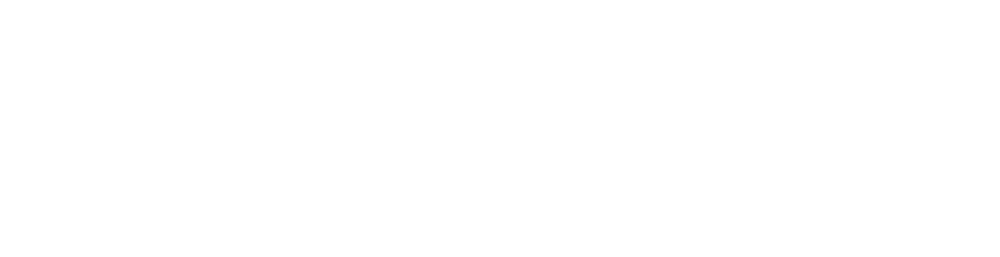PartnerPulse logo Monotone white (png)